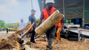 PLTU Holtekamp Siap Jadi Solusi Energi Bersih Berkelanjutan di Papua