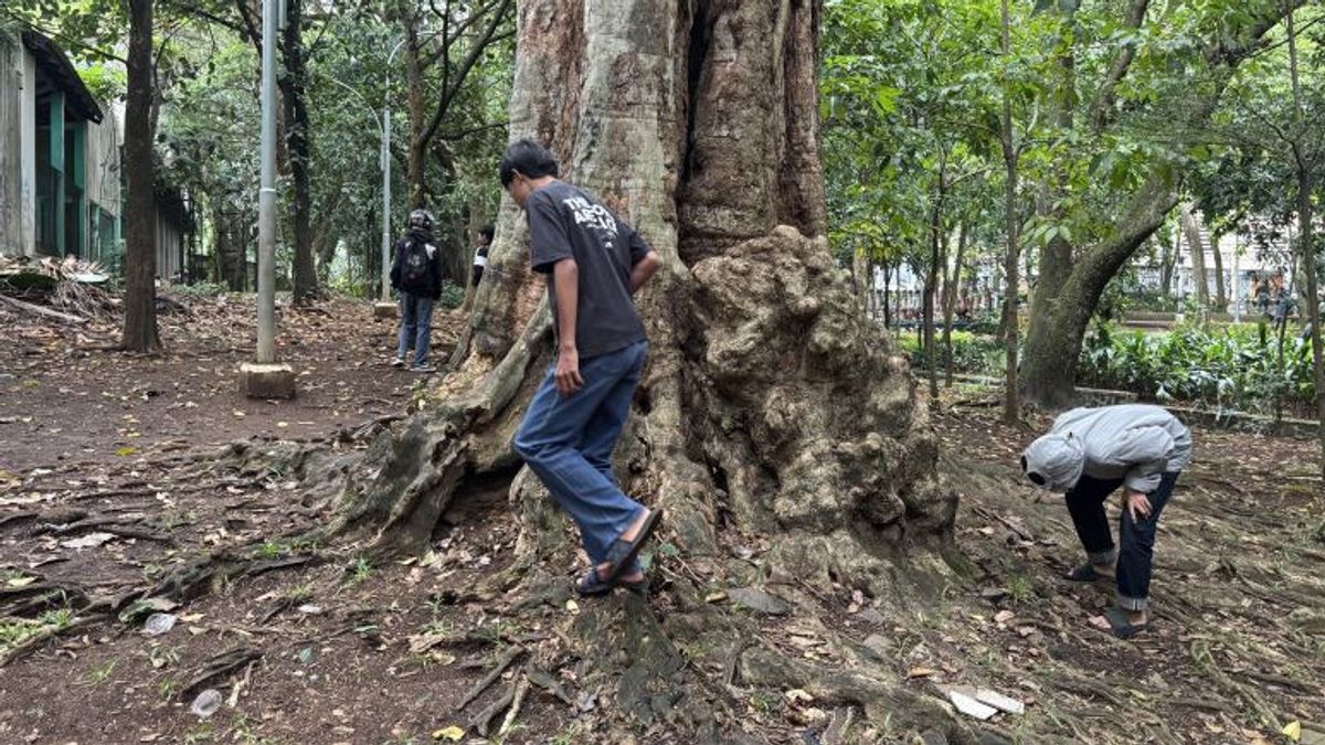 Chasse à des pièces de cadeau allant jusqu’à 100 millions de roupies, le gouvernement de la ville de Bandung rappelle de ne pas aller jusqu’à ruster le parc