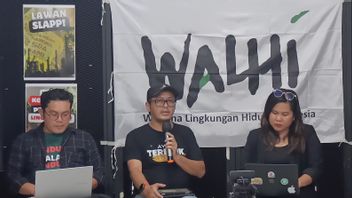 Walhi: The Shrimp Estate Program Will Damage The Mangrove Ecosystem In Indonesia