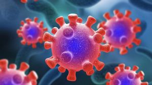 Bahaya Virus Nipah bagi Otak, Dokter Jelaskan Dampaknya