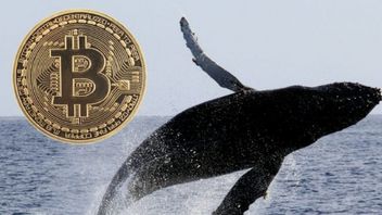 クジラビットコイン6年間の睡眠の後に上昇し始め、1,177 BTCを動かして4,580億ルピア相当