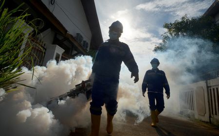 Peneliti UGM Sebut Bakteri Wolbachia Dalam Jentik Nyamuk Pencegahan DBD Tak Bisa Hidup di Tubuh Manusia