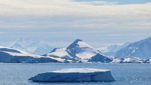 Es Laut Musim Dingin Antartika Catat Rekor Terendah, Ilmuwan: Ini Ekstrem