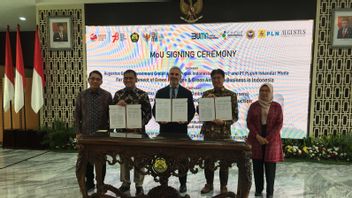 PLN、Pupuk Iskandar Muda和AGI 同意开发绿色氢