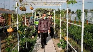 Berita Bantul: Bupati Inginkan Agrofood Bantul Latih Masyarakat Teknologi Pertanian