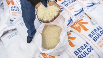 Bulog Ensures El Nino Phenomenon Has No Impact On Rice Availability In NTT