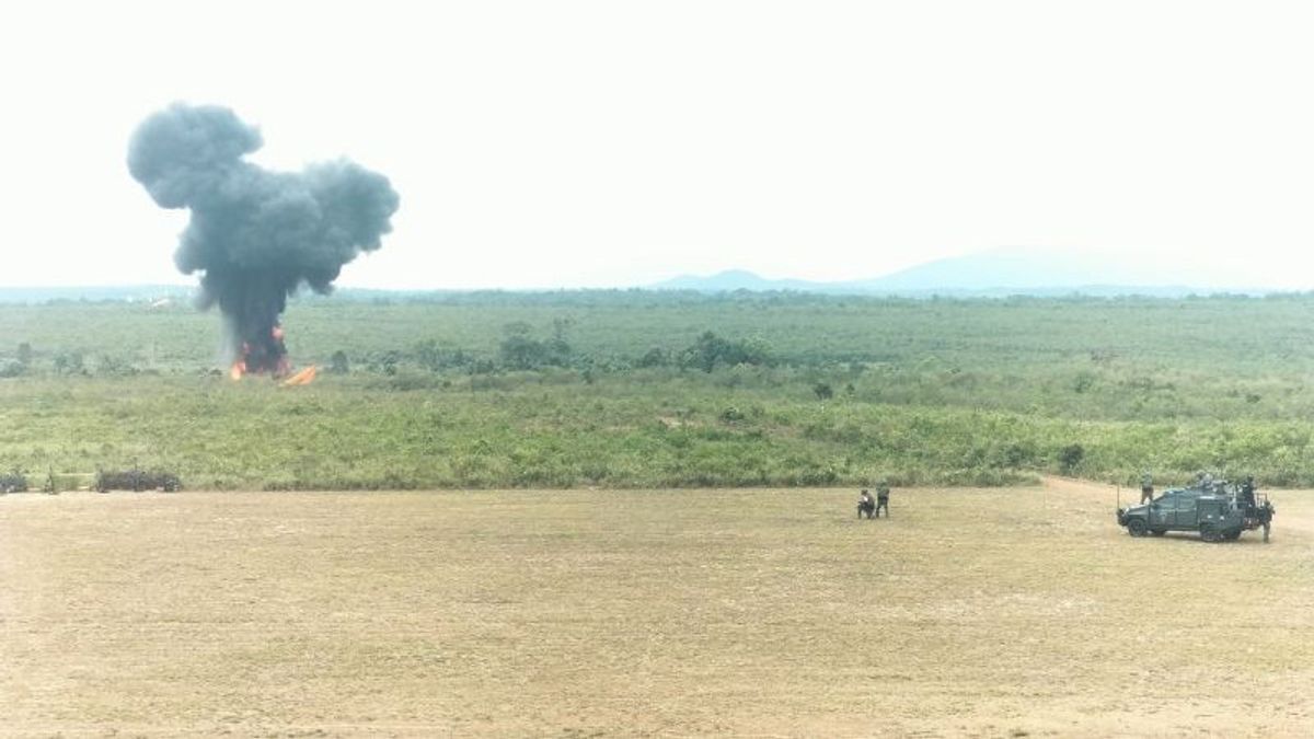 simulation TNI de détruire l’ennemi avec des drones Kamikaze et des avions de combat