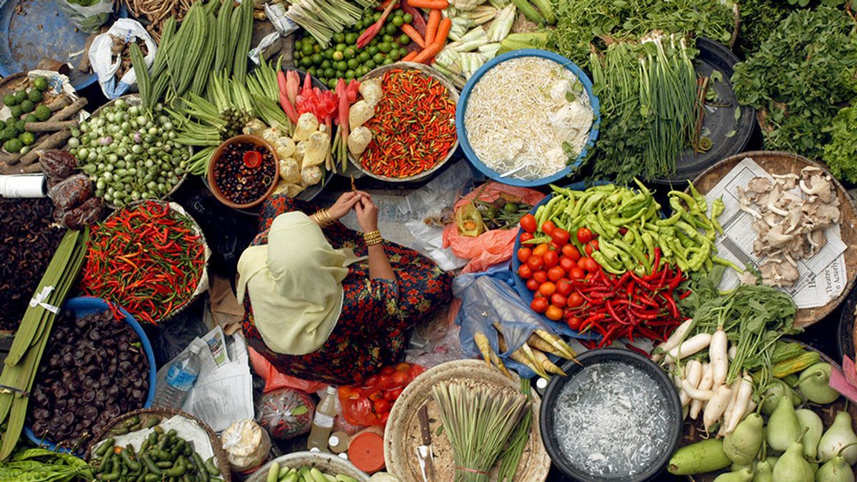 Food Issues Are The Focus Of The G20 Meeting In Washington, The Republic Of Indonesia Proposes That The World Needs Other Initiatives