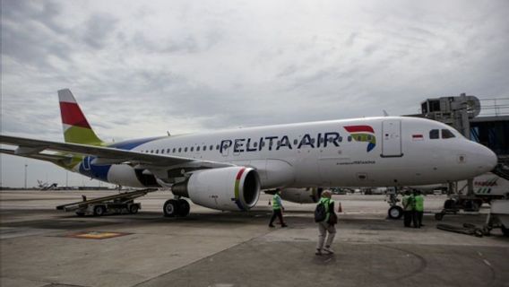 Add Air Fleet, Pelita Air Targets To Have 11 Units