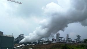 Realization Of RI's Geothermal Bonus Reaches IDR 950 Billion