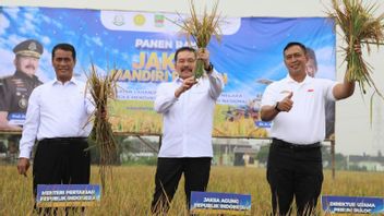 阿姆兰农业部长:小剪刀必须有空间