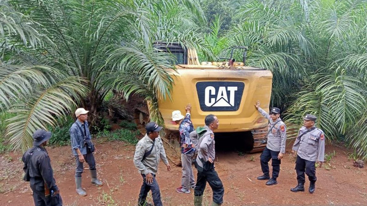 Temuan Alat Berat Buka Mata Polisi Hutan Konservasi Air Teramang Mukomuko Sudah Jadi Perkebunan Sawit Produktif