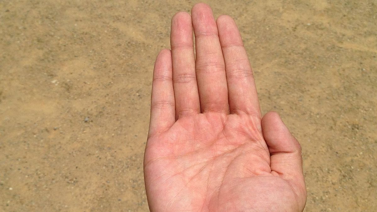 5 Characteristics Of Lucky Handlines, One Of Them Has A 'M' Letter Pattern