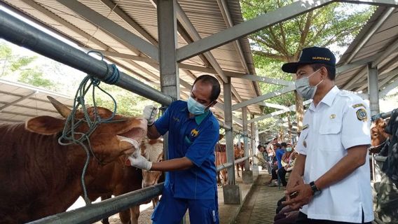 Wabah PMK Semakin Meresahkan, Sumsel Perketat Distribusi Hewan Ternak di 17 Kota