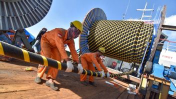 PLN Cooperates With South Korean Companies To Develop Underground And Marine Cables