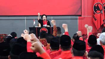Sekjen PDIP Bocorkan Kriteria Capres Pilihan Megawati, Akan Diumumkan Tahun Depan