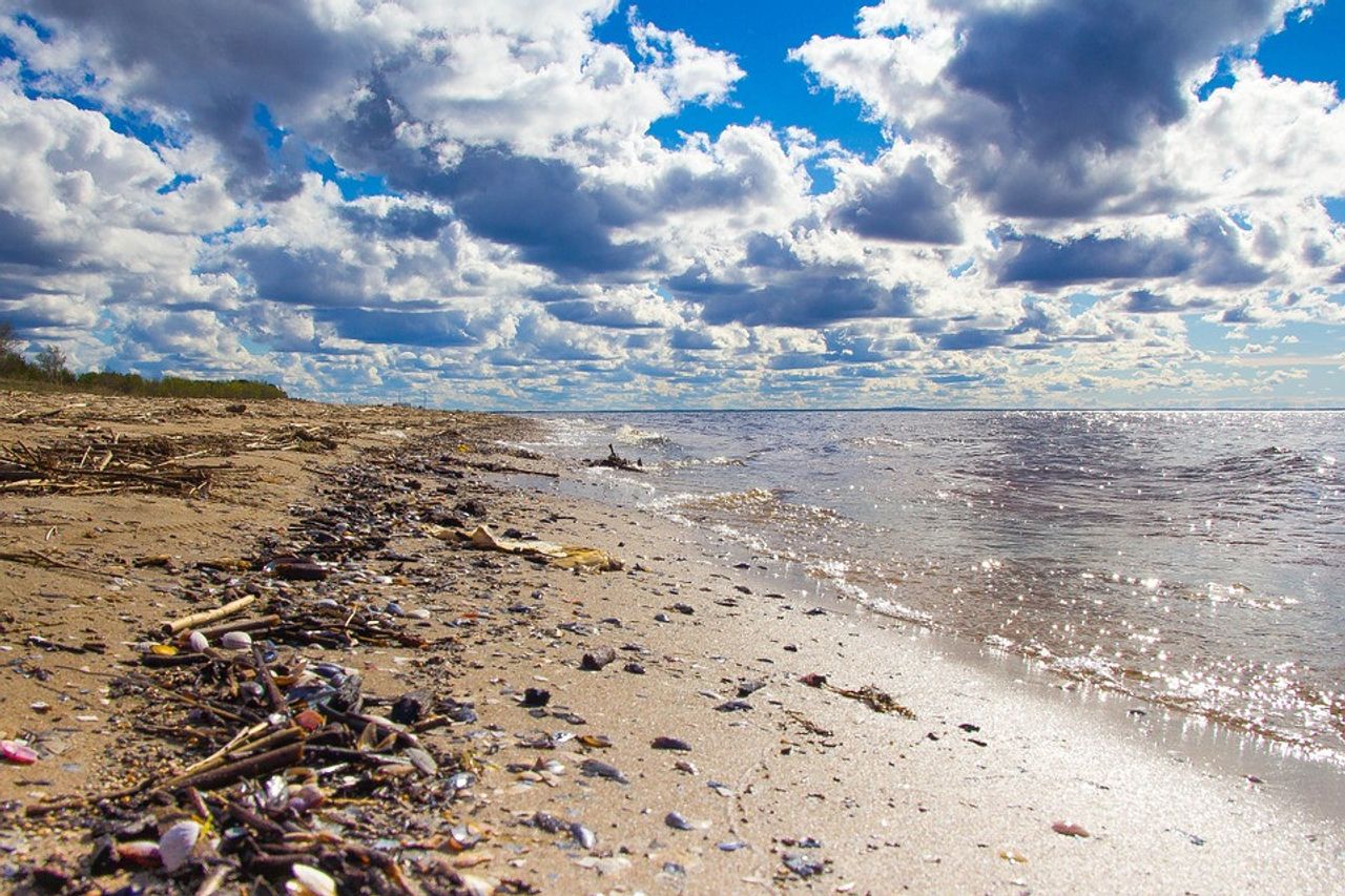 科学者は海のプラスチック廃棄物を検出するためのツールを見つけ、山は驚異です