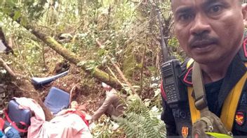 Detik-detik Ketika Posisi Kapolda Jambi Akhirnya Ditemukan di Bukit Tamia