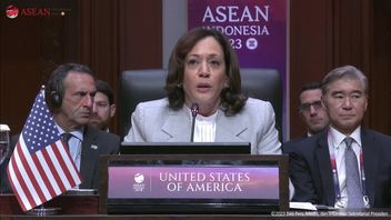 卡马拉·哈里斯(Kamala Harris)断言,他支持美国就缅甸危机达成东盟五点共识。