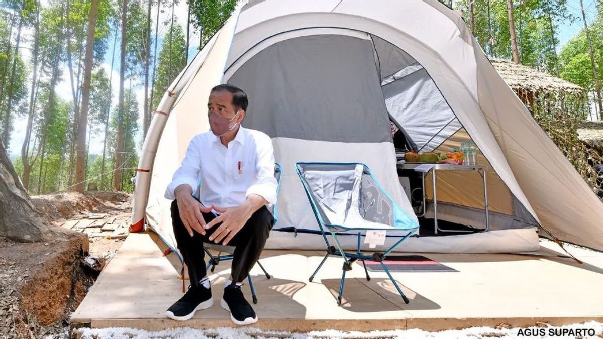 Respons Kocak Netizen Saat Jokowi Unggah Pose Cool di Tenda IKN Nusantara: Ingat Pramuka Dulu, Ada Jerit Malam Pak?