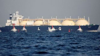 Kisruh Kasus Gas, Boyamin: Yang Bermasalah Itu LNG Mozambique!
