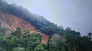 7 Orang Tertimbun Longsor di Talamau Sumbar, 1 Selamat