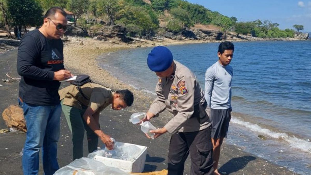 Polairud Bima Reveals Case Of Illegal Coral Reef Shipping