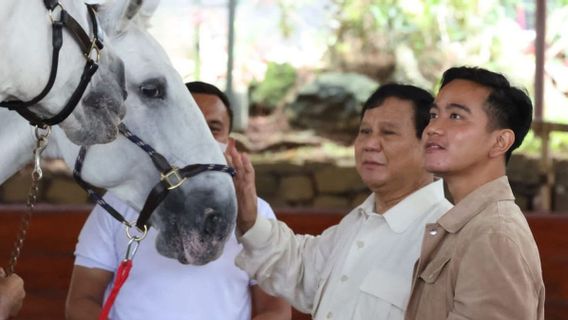 Gibran Rakabuming, Dinamika Potensi Cawapres dalam Perubahan Batas Usia