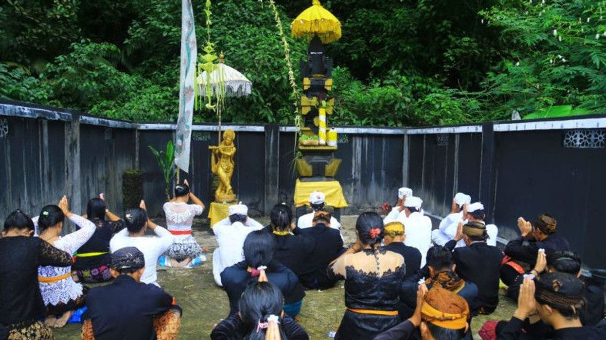 Tengger Tribe Residents Hold Mendak Tirta Ritual Ahead Of Yadnya Kasada At Madakaripura Waterfall