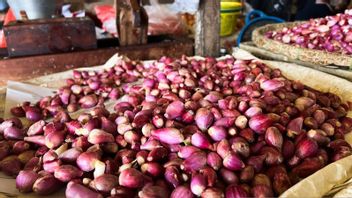 今日雅加达的食品价格:Rawit-Bawang Merah辣椒下降,大米SPHP上涨至每公斤12,551印尼盾