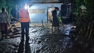 Banjir Bandang Terjang Panti–Rambipuji Jember, Seorang Warga Hanyut