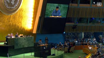President Prabowo: Indonesia Is Ready To Admit Israel If Israel Admits Palestine