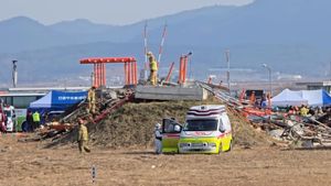 ar dans le moteur d’avions, les autorités sud-coréennes confirment la collision d’oiseaux avant l’accident d’un jet d’eau