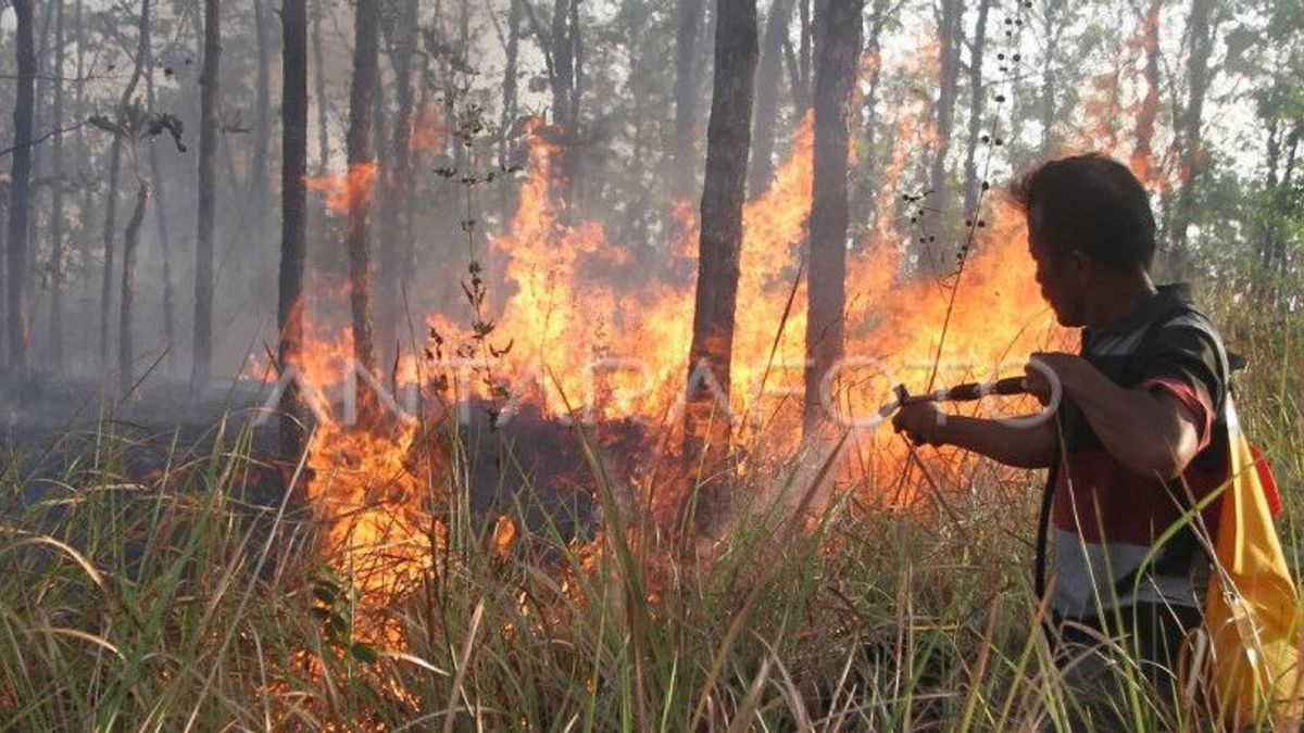 RPHセプカンKPHンガウィ地区のチーク材の森が火災を起こ