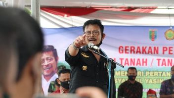 Denying The Minister Of Agriculture Lost Contact, Sahroni Called The Head Of NasDem Surya Paloh Ordering SYL To Come Home Soon