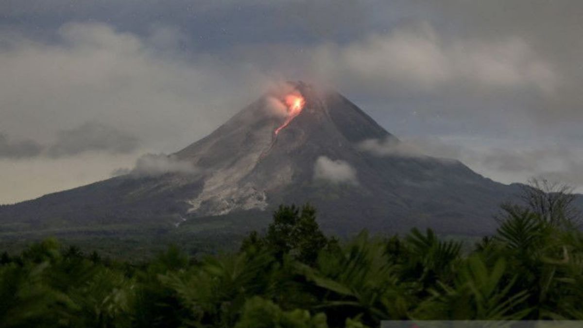 Mount Merapi Now Has 2 Active Lava Domes, Check Out BPPTKG's Explanation