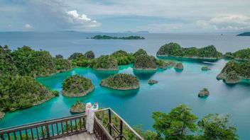Daftar Lima Perusahaan Tambang Beroperasi di Raja Ampat