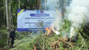 Suyudi Sebut Pemusnahan 69 Ton Ganja di Aceh Bukti Mendukung Asta Cita Presiden Prabowo