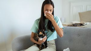 Waspada! Inilah Hewan Penyebar Penyakit ke Manusia yang Ada di Sekitar Kita