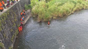 Cari Sriyanto yang Terjatuh di Sungai Opak, Tim SAR Yogyakarta Kerahkan Ratusan Personel Sisir Lokasi