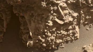 美国宇航局的“好奇号”探测器在火星上发现了一个巨大的蜂巢状物体