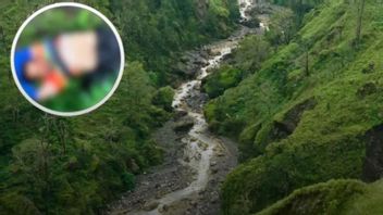 Pendaki Jatuh di Gunung Rinjani, Tim Gabungan TNGR Lakukan Evakuasi
