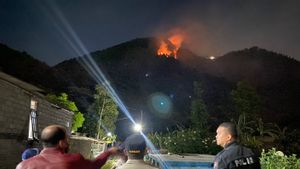 Un incendie de forêt sur le mont Telemoyo a été éteint, TNI-Polri et SAR sont toujours sur place