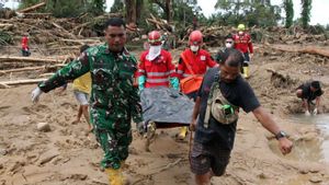 BNPB: 116 Korban Meninggal dalam Bencana di Sumut, 42 Orang Hilang
