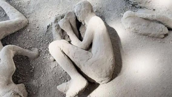 베수비오 화산에서 도망치는 동안 외과 도구를 가지고 다니는 2000 년 전 폼페이 피해자는 의사였습니다.