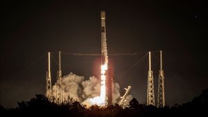 SpaceX Luncurkan 3 Misi Starlink Sekaligus dalam 2 Hari