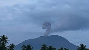 Gunung Ibu Semburkan Abu Vulkanik hingga 600 Meter