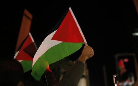 Solidaritas untuk Palestina di Rumania, Dubes-dubes Negara OKI Gelar Aksi