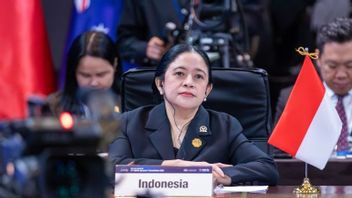 Puan Urges Government To Move Fast About Floods: No Residents Can Wait For Day-to-Day Assistance