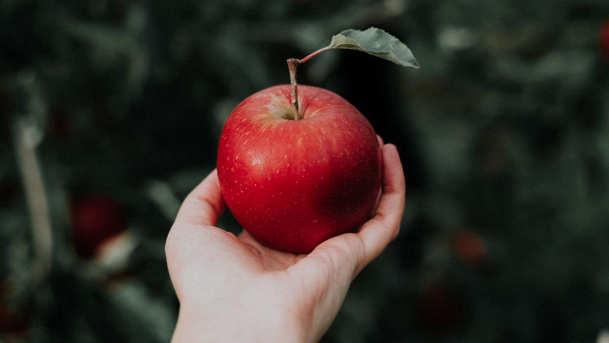 4 طرق لإزالة طلاء الشمع على التفاح